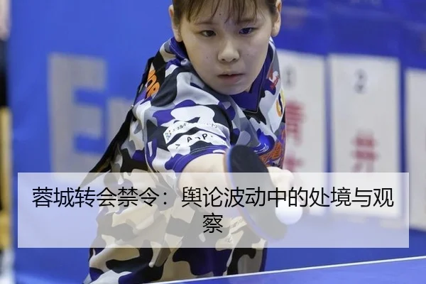 蓉城转会禁令：舆论波动中的处境与观察